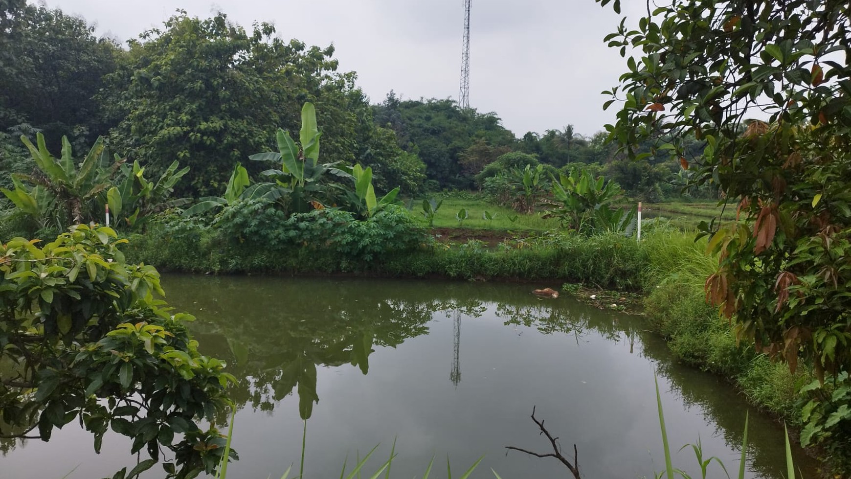 Kavling siap bangun di parung bogor