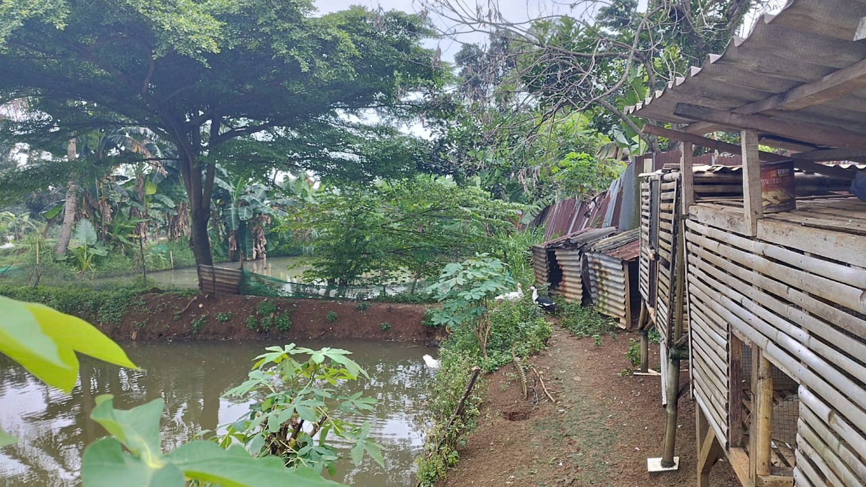 Kavling siap bangun di parung bogor