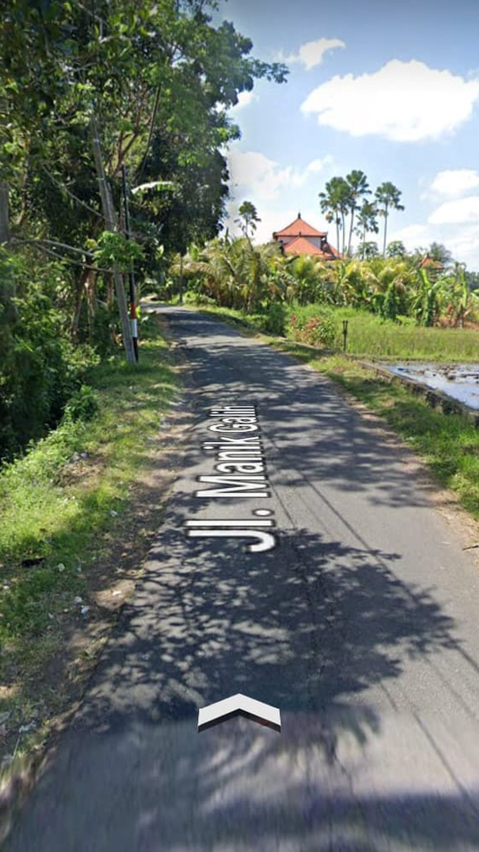 For Sale Freehold - Land with view ricefield