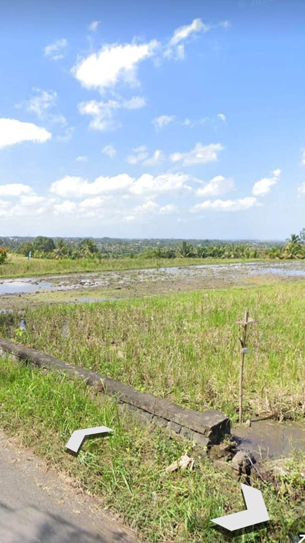 For Sale Freehold - Land with view ricefield