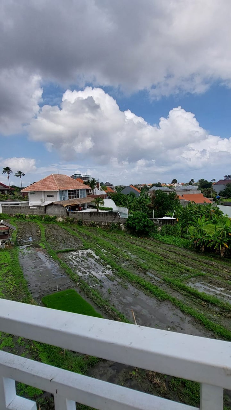 Leasehold - Luxurious Villa in Canggu