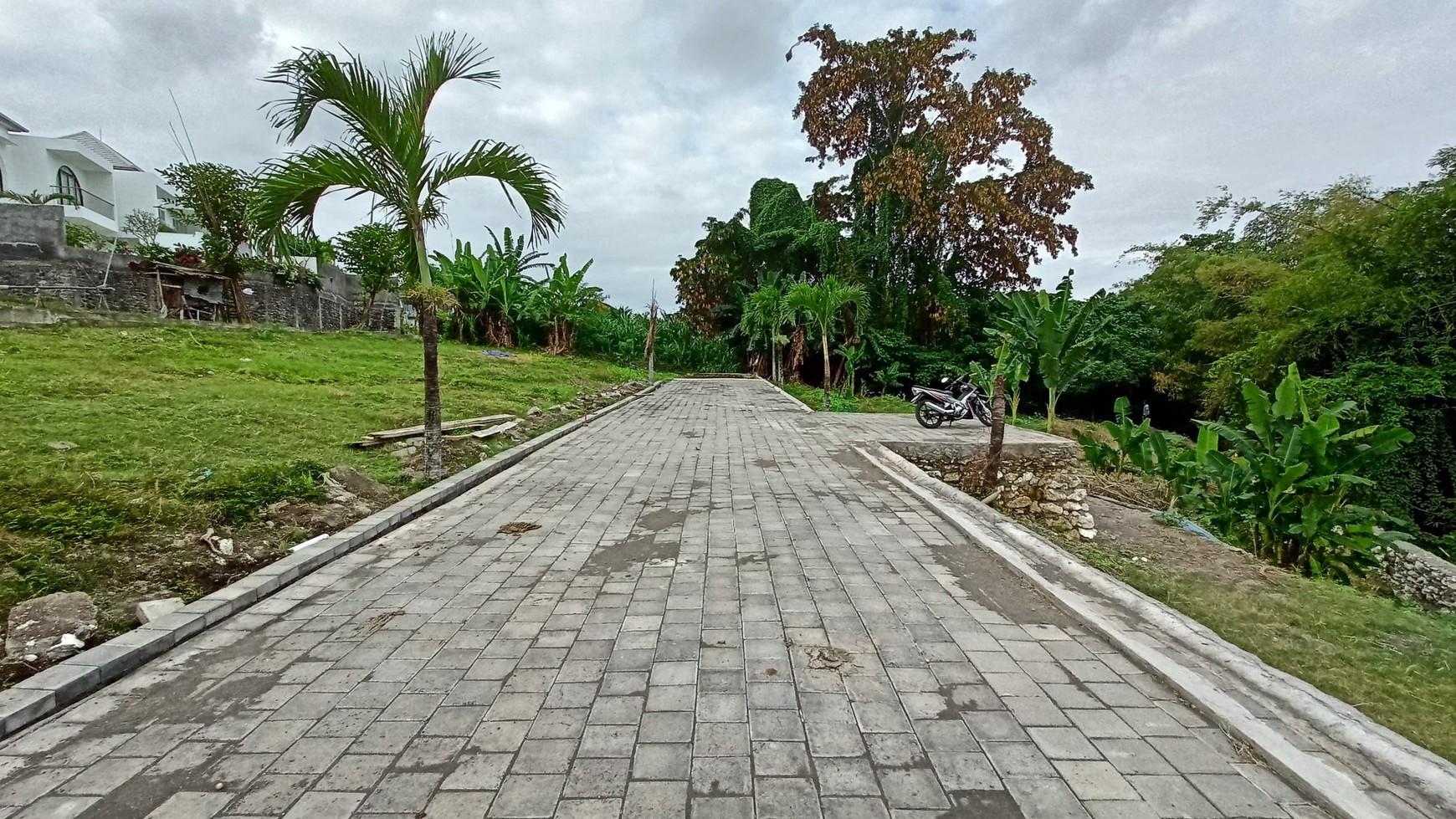 Freehold - Premium Land Available for Sale In Canggu