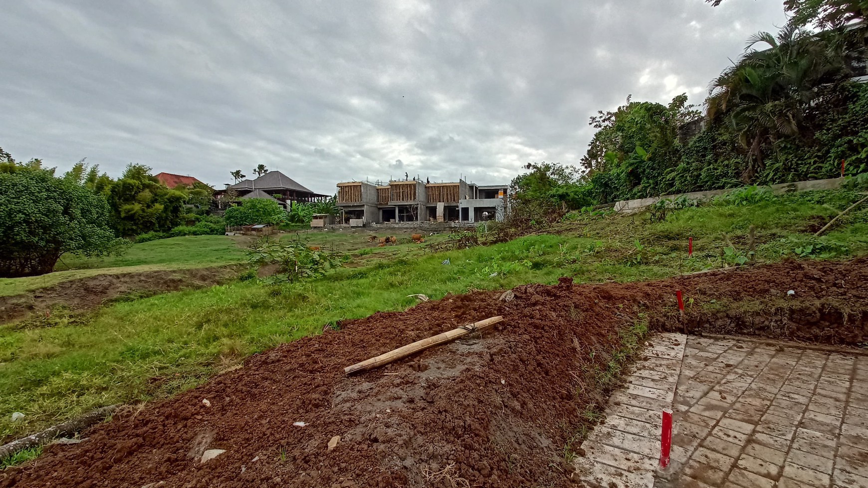 Freehold - Premium Land Available for Sale In Canggu