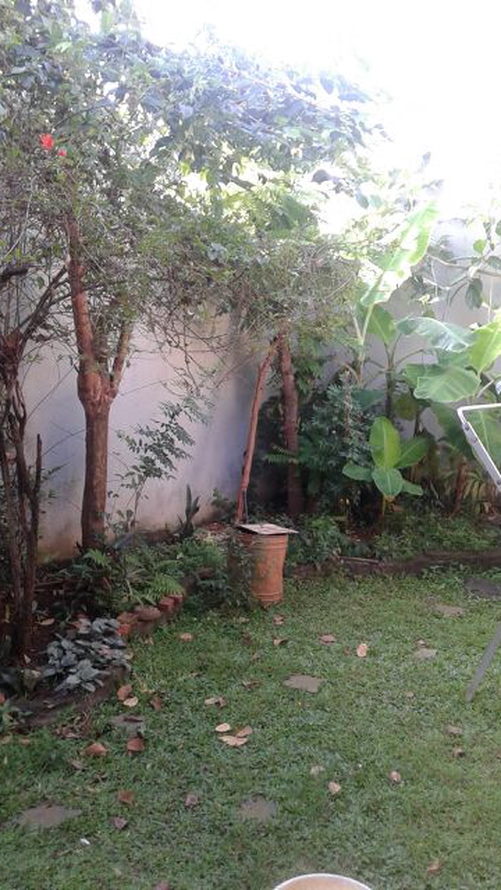 Dijual Rumah Bagus Di Jl Baitis Salmah, Tegal Rotan Tangerang