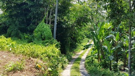 Land Freehold 5000 Sqm in great location Payangan Ubud