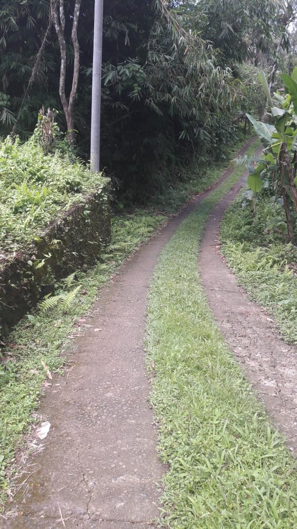 Land Freehold 5000 Sqm in great location Payangan Ubud