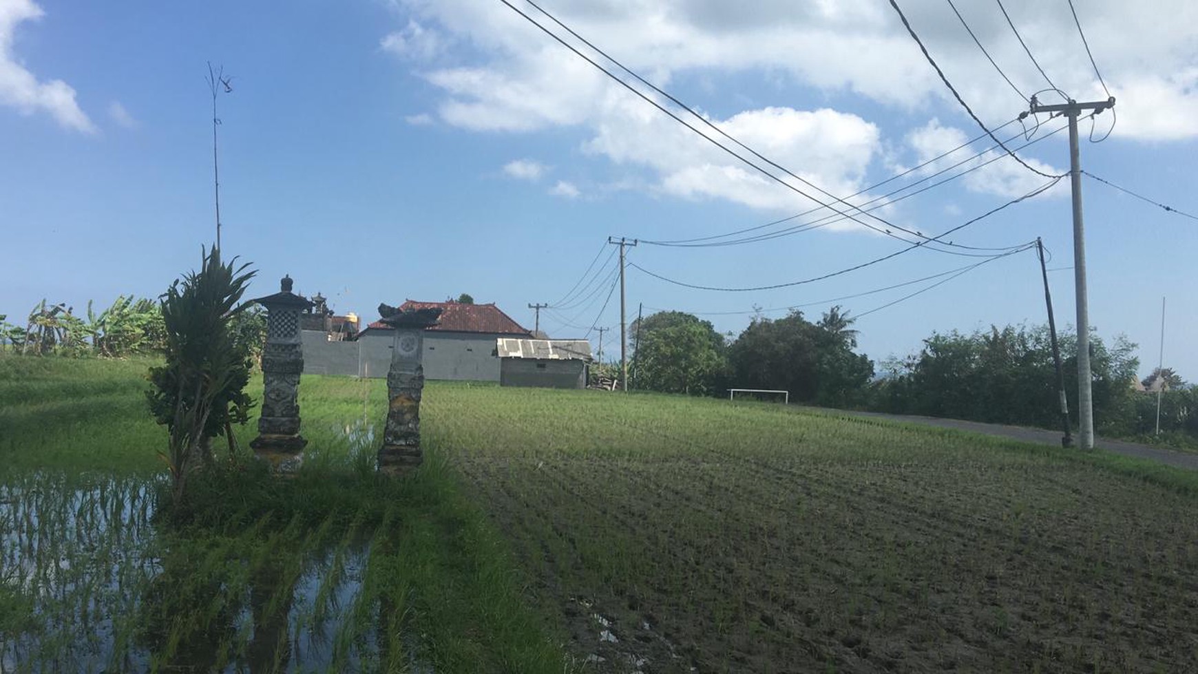 Land Freehold Main Road 1790 Sqm in Yeh Gangga Bali