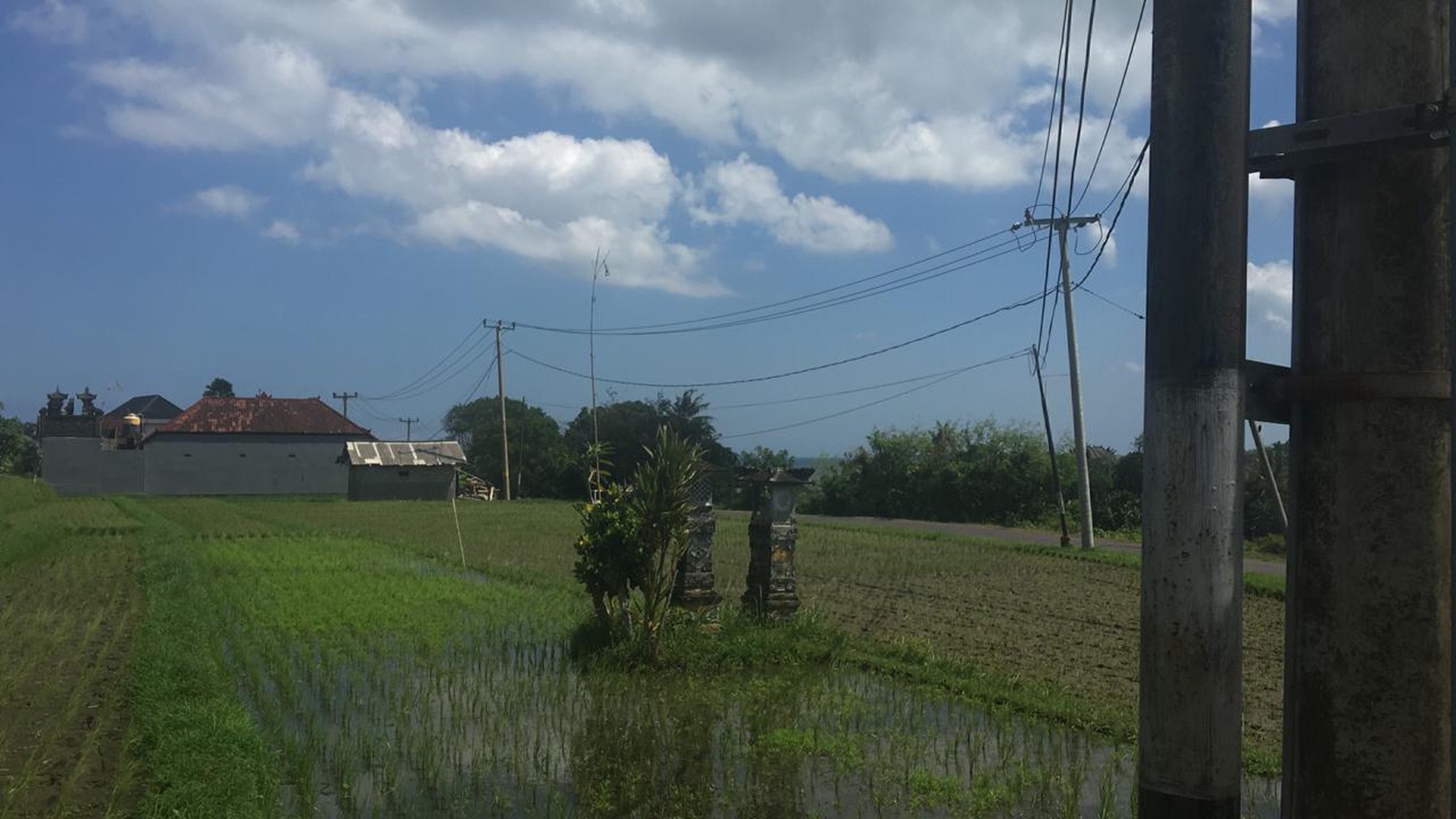 Land Freehold Main Road 1790 Sqm in Yeh Gangga Bali