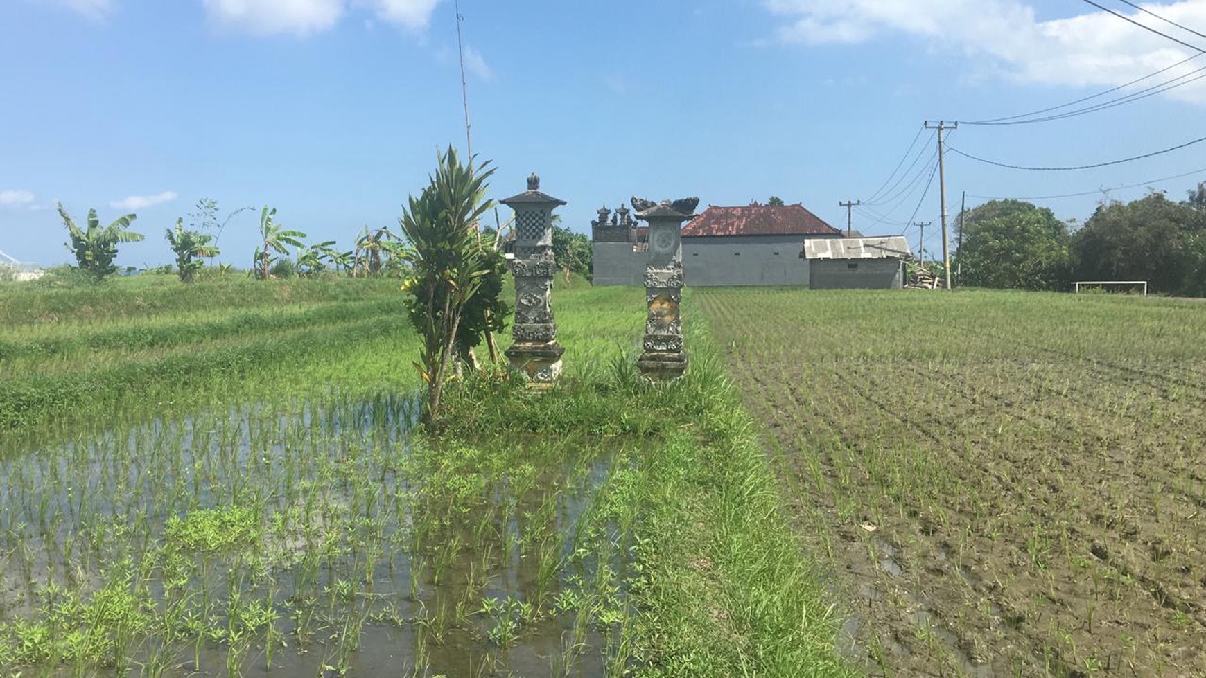 Land Freehold Main Road 1790 Sqm in Yeh Gangga Bali