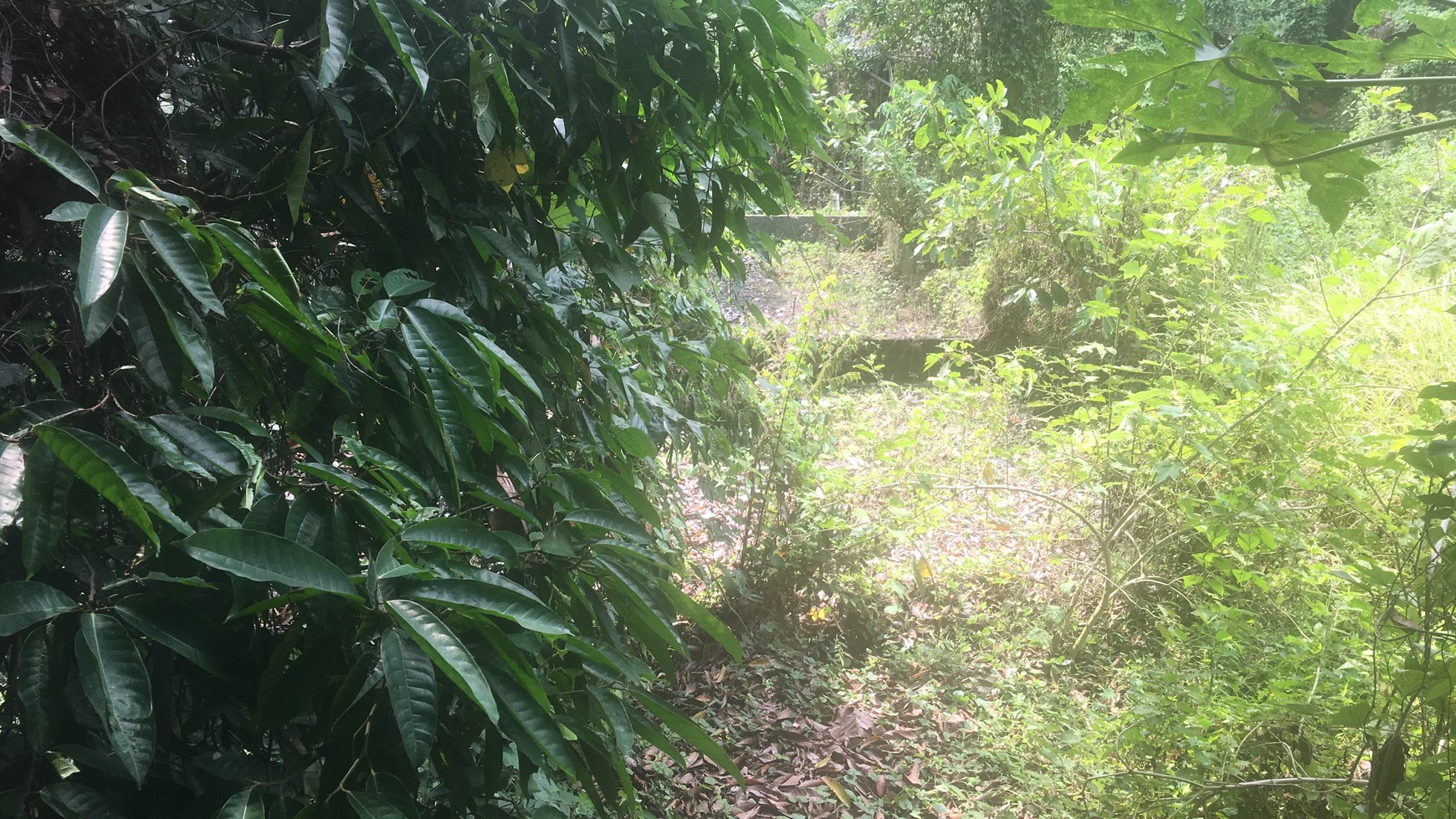 Riverside Commercial Land close to Canggu for Villas & Spa Resort