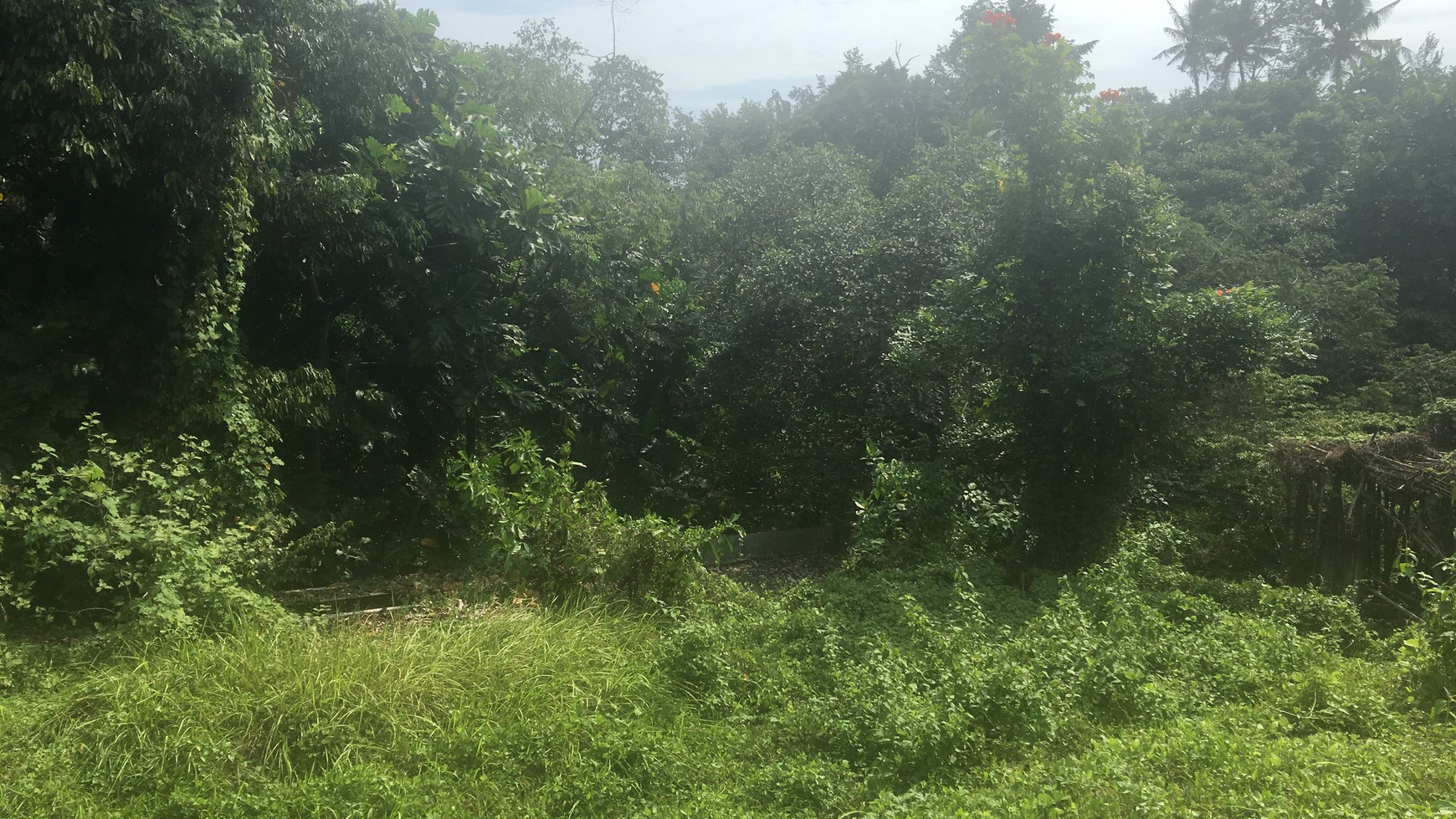 Riverside Commercial Land close to Canggu for Villas & Spa Resort