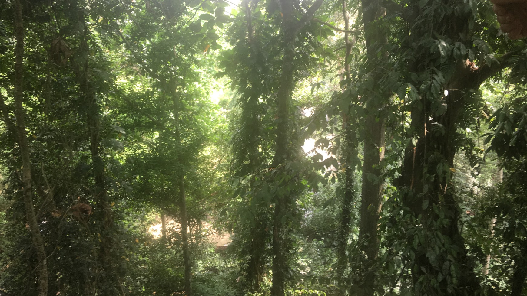 Riverside Commercial Land close to Canggu for Villas & Spa Resort