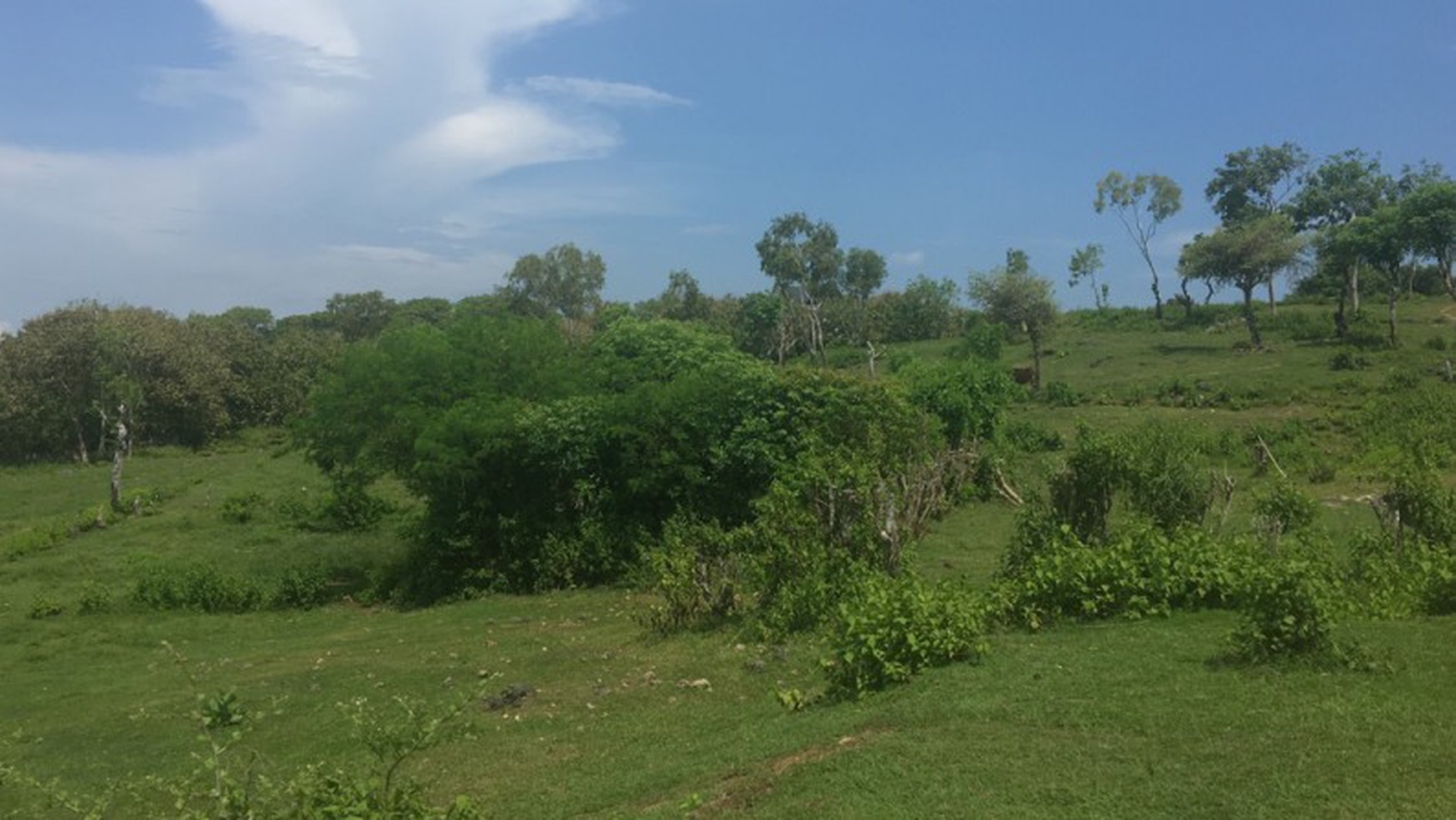 Land 4,9 Ha Cliff Front In Great Location Bukit