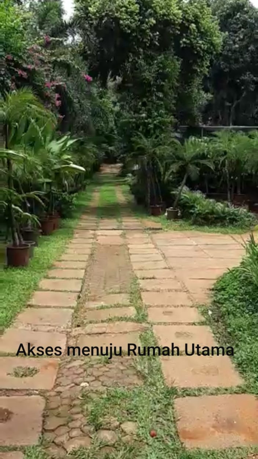 Hunian  Dengan Konsep Villa  dengan Halaman yg Luas 60 meter ke arteri Jl. Andara/ Tol Depok - Antasari