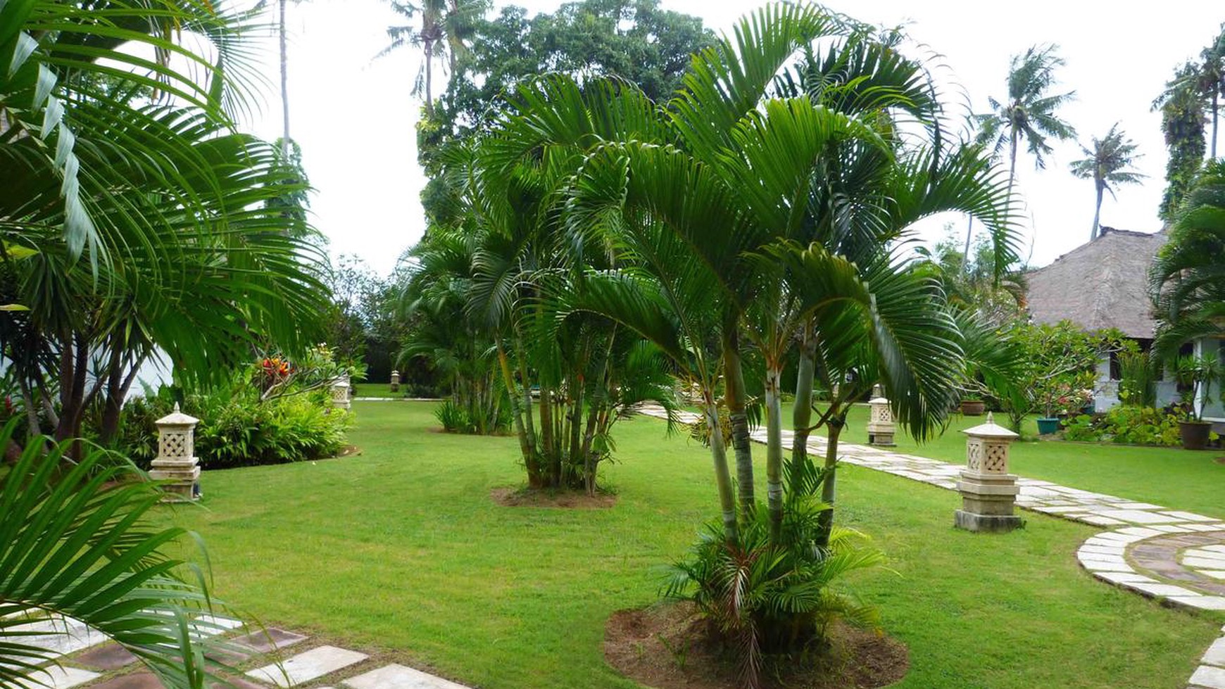 Villa Need Renovation 6633 Sqm In Heart of Seminyak Bali