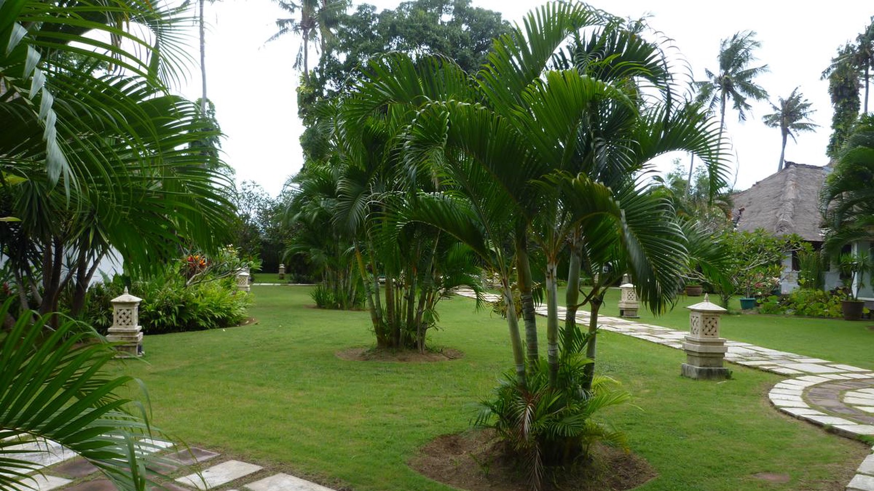 Villa Need Renovation 6633 Sqm In Heart of Seminyak Bali