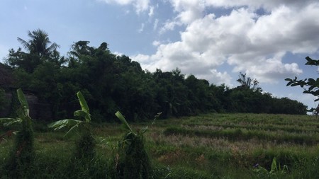 Freehold Land 5515  Sqm In Kaba Kaba Tabanan