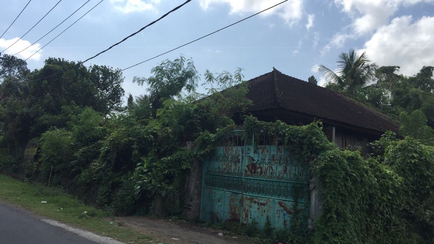 Freehold Land 5515  Sqm In Kaba Kaba Tabanan Bali