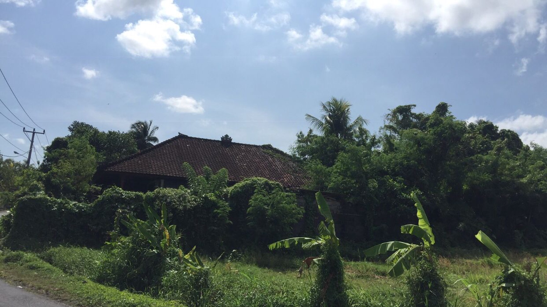 Freehold Land 5515  Sqm In Kaba Kaba Tabanan