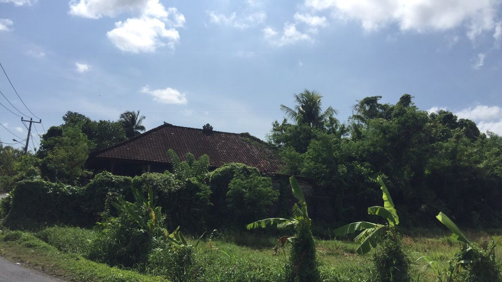 Freehold Land 5515  Sqm In Kaba Kaba Tabanan Bali