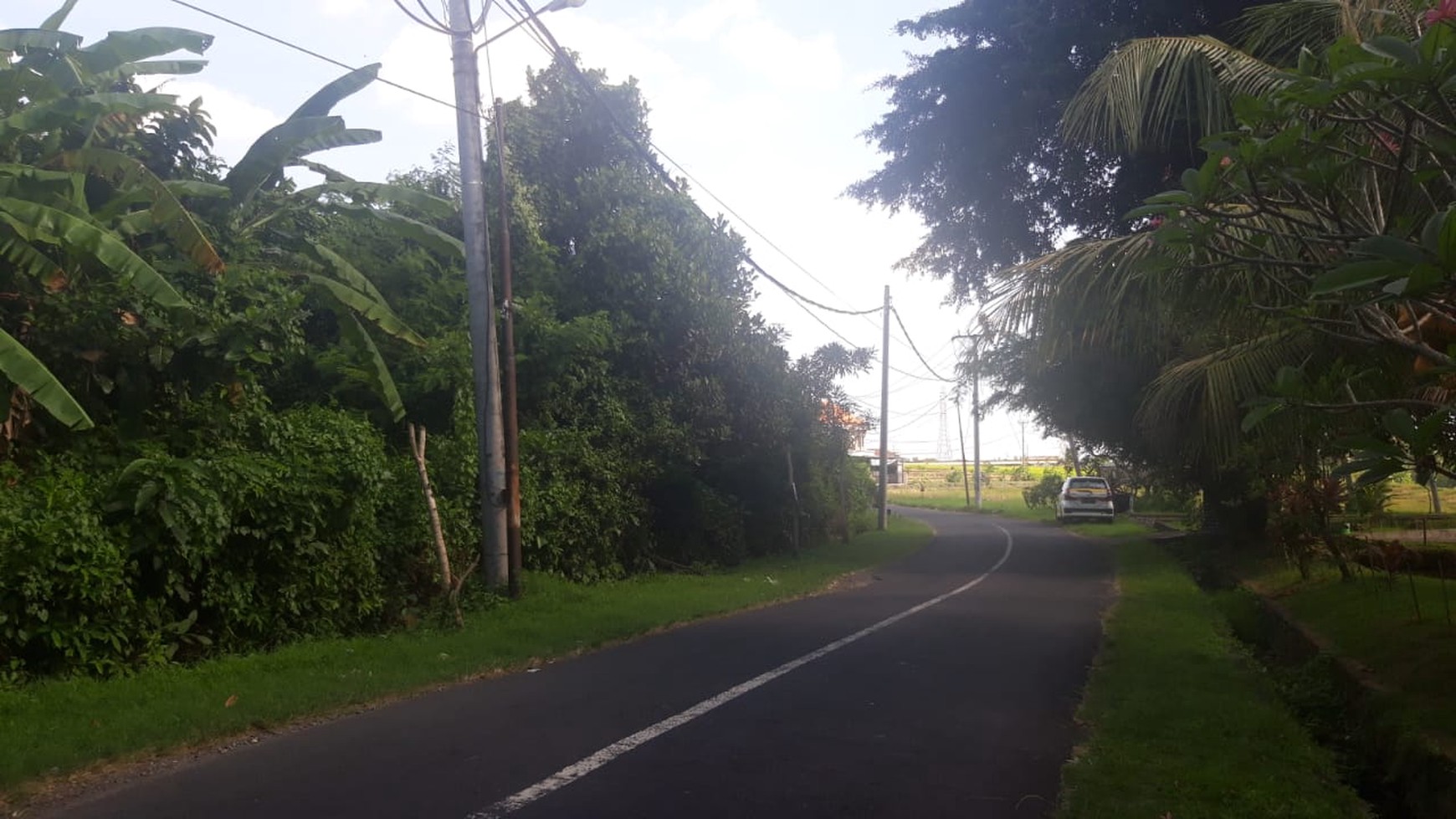 Freehold Land 5515  Sqm In Kaba Kaba Tabanan Bali