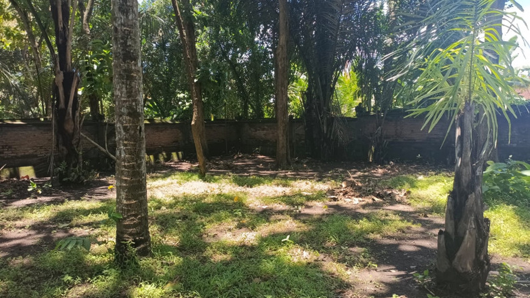 Land Freehold 19400 Sqm in Great Location Kaba Kaba Beyond Canggu