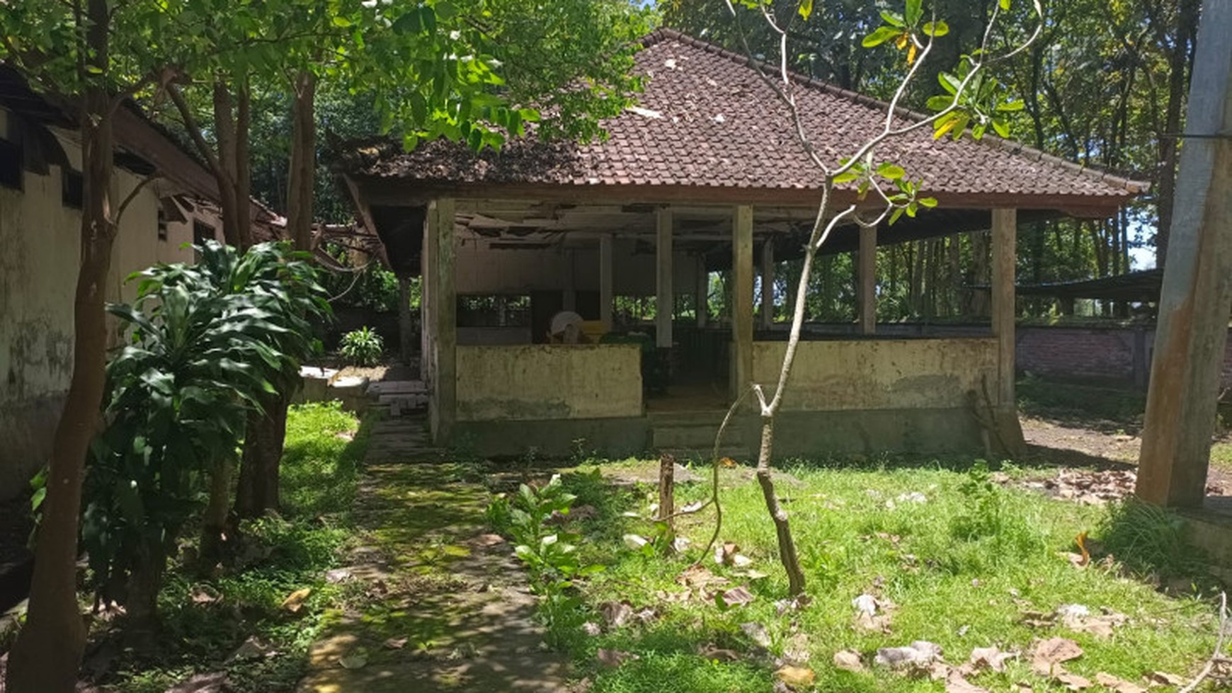 Land Freehold 19400 Sqm in Great Location Kaba Kaba Beyond Canggu