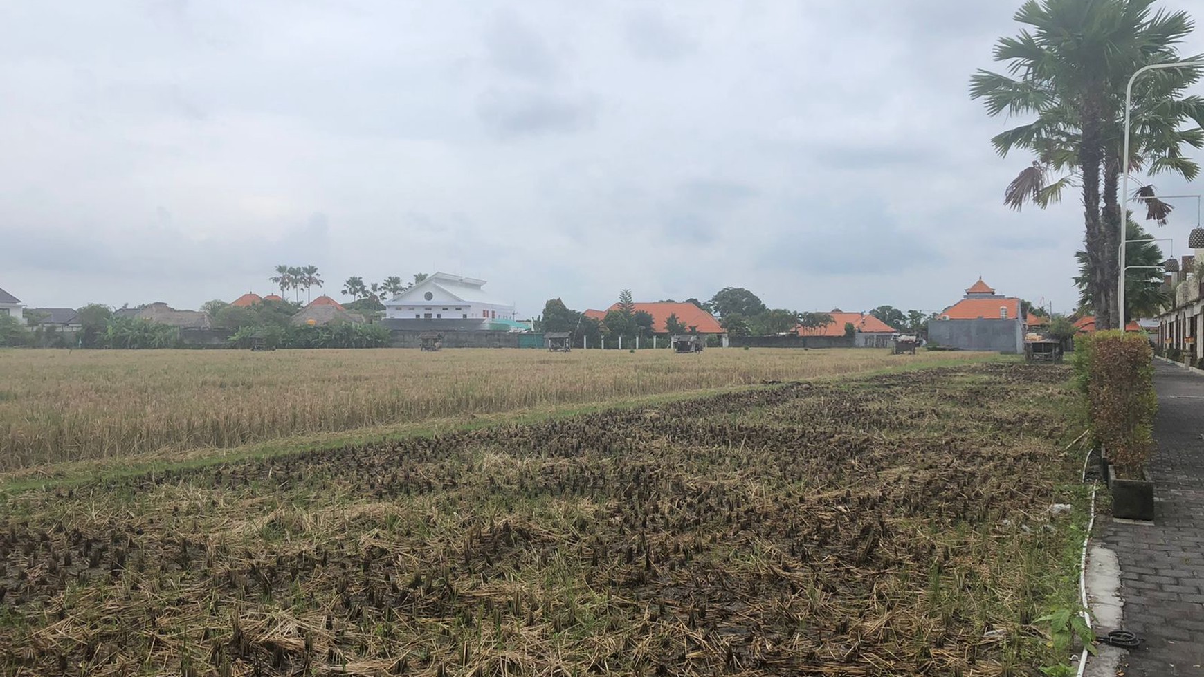 Land Freehold in Great Location Batu Belig