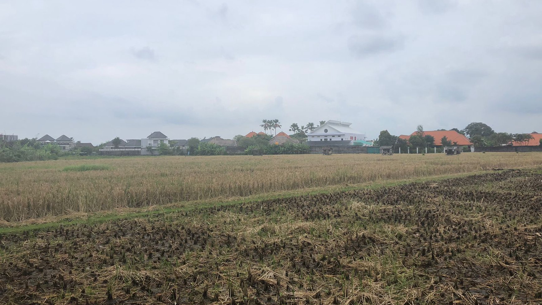 Land Freehold in Great Location Batu Belig