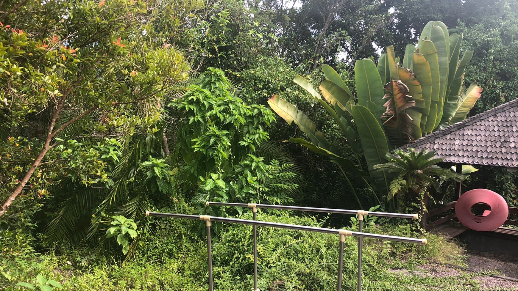 Land Freehold in Great Location Beyond Canggu - Green Lot 