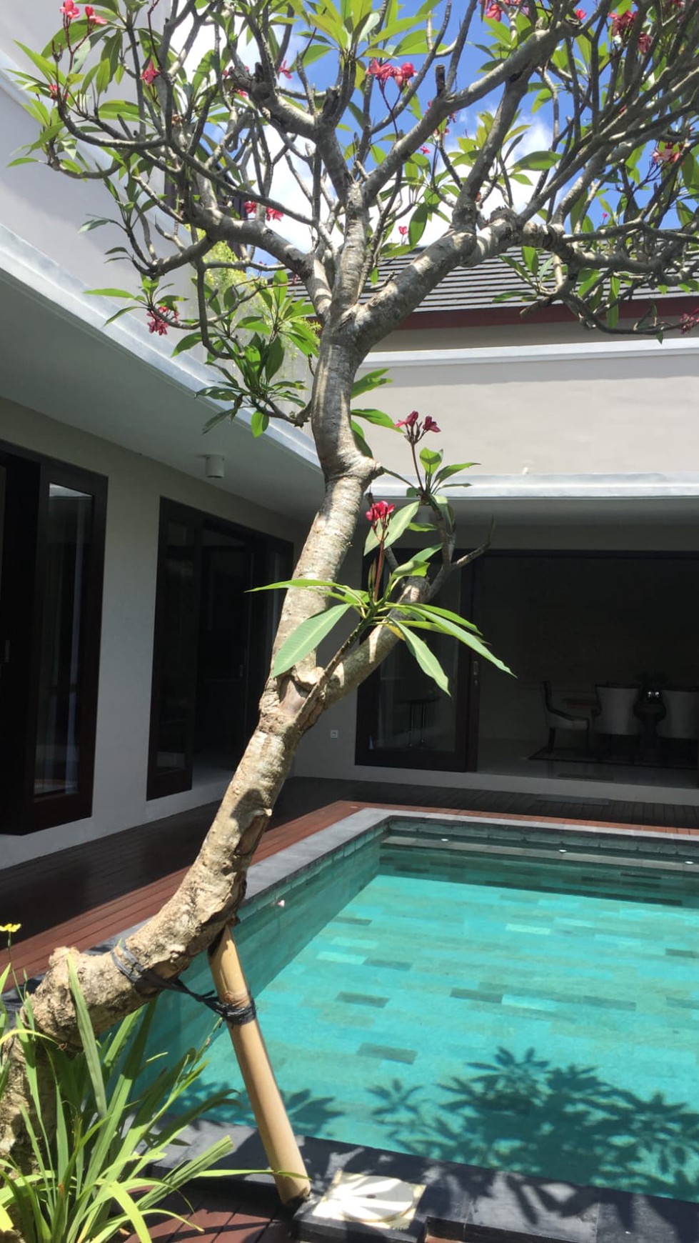 Villa 3 Bedroom in Great Location Nusa Dua 