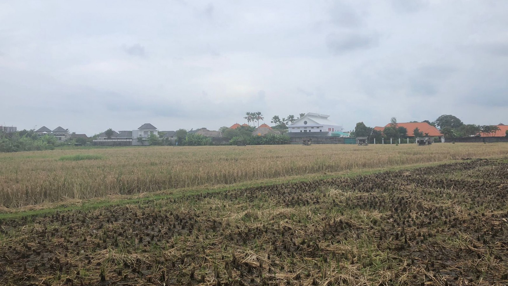 Land Freehold 1350 sqm Great Location Batu Belig