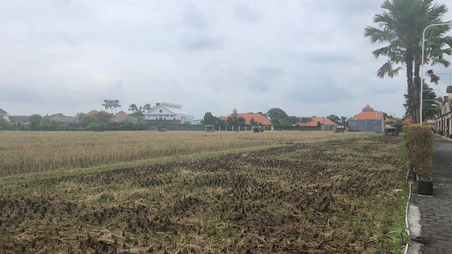 Land Freehold 1350 sqm Great Location Batu Belig