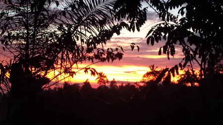 Hill View Wooden Houses for Sale In Ubud Bali