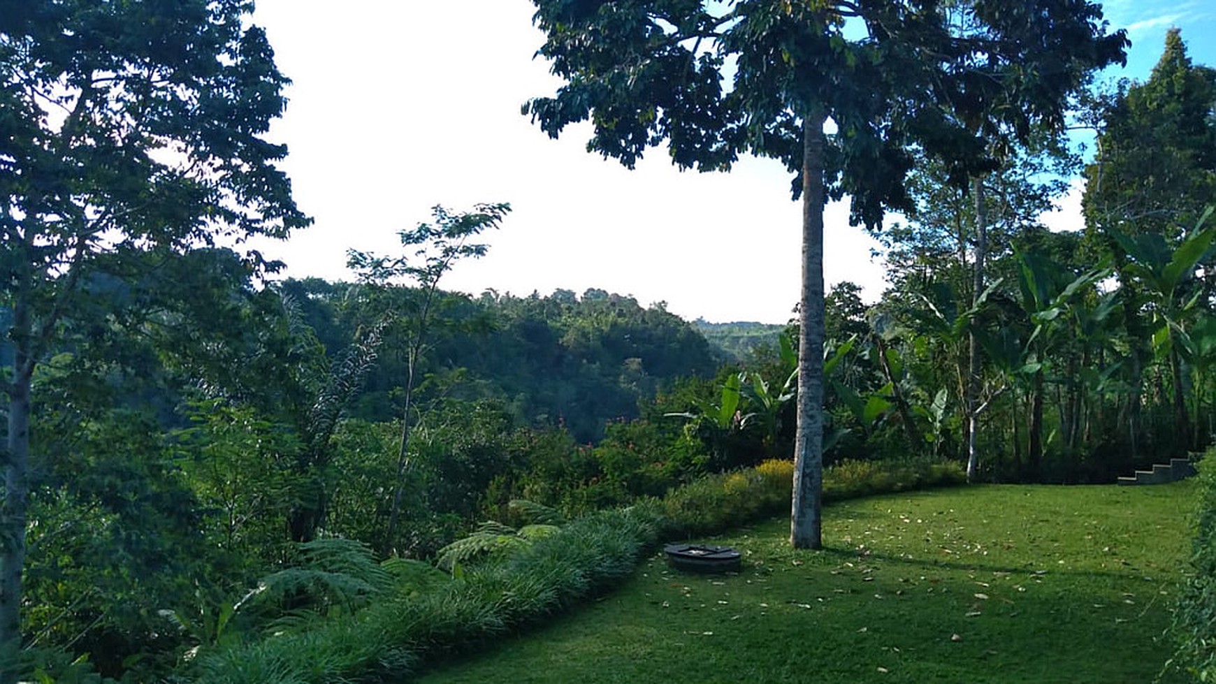 Hill View Wooden Houses for Sale In Bali