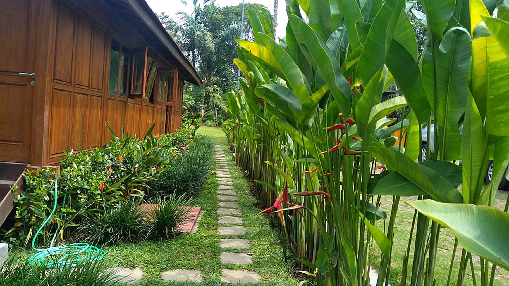 Hill View Wooden Houses for Sale In Bali