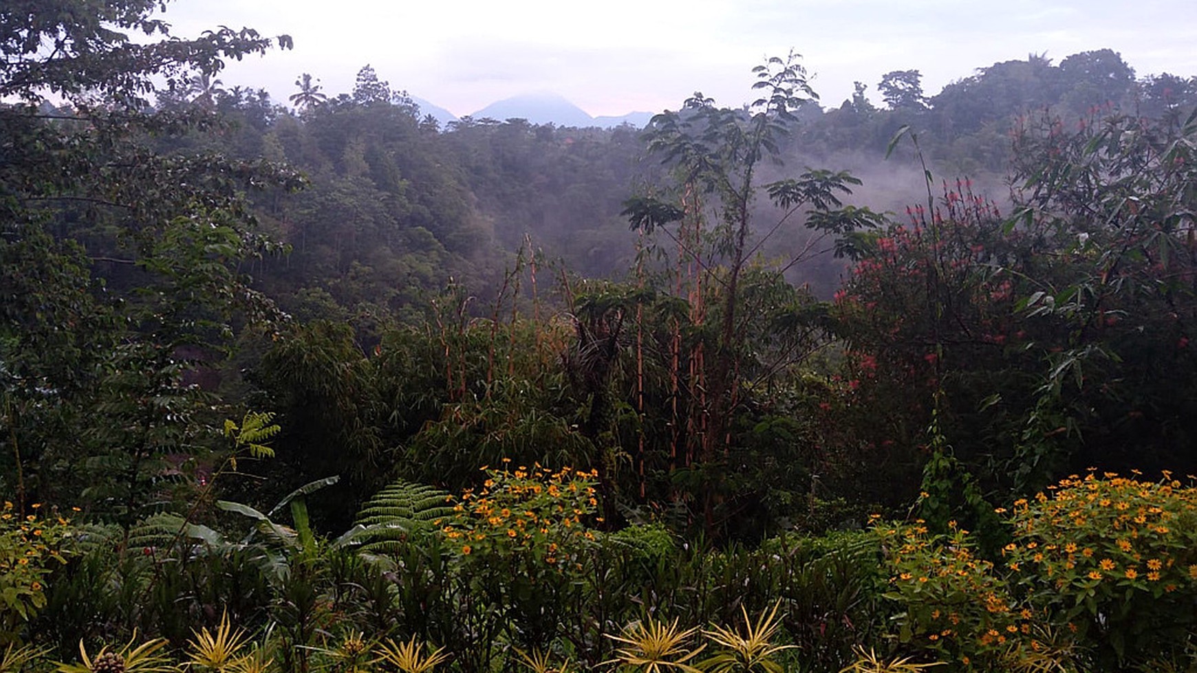 Hill View Wooden Houses for Sale In Bali