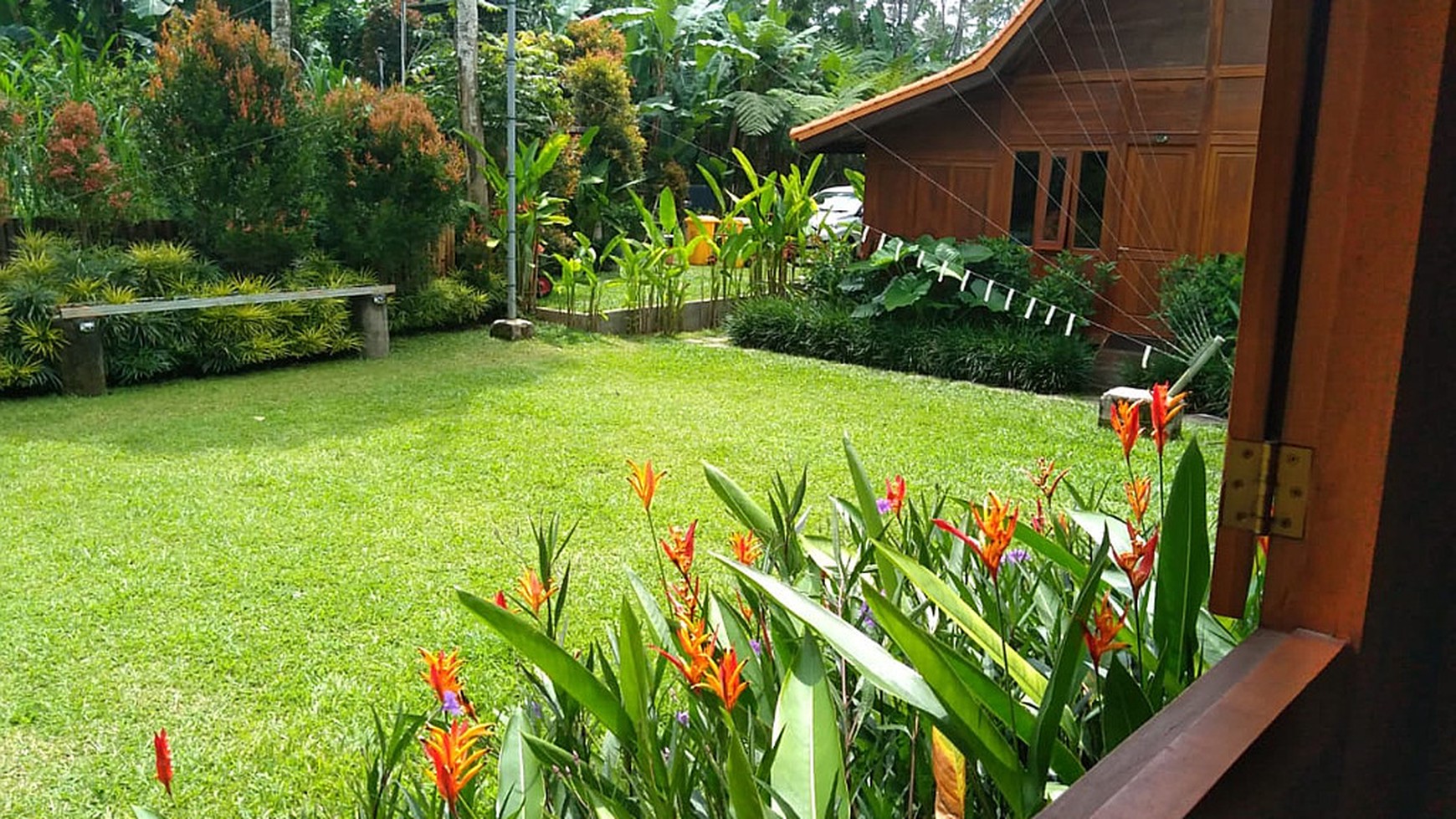 Hill View Wooden Houses for Sale In Bali