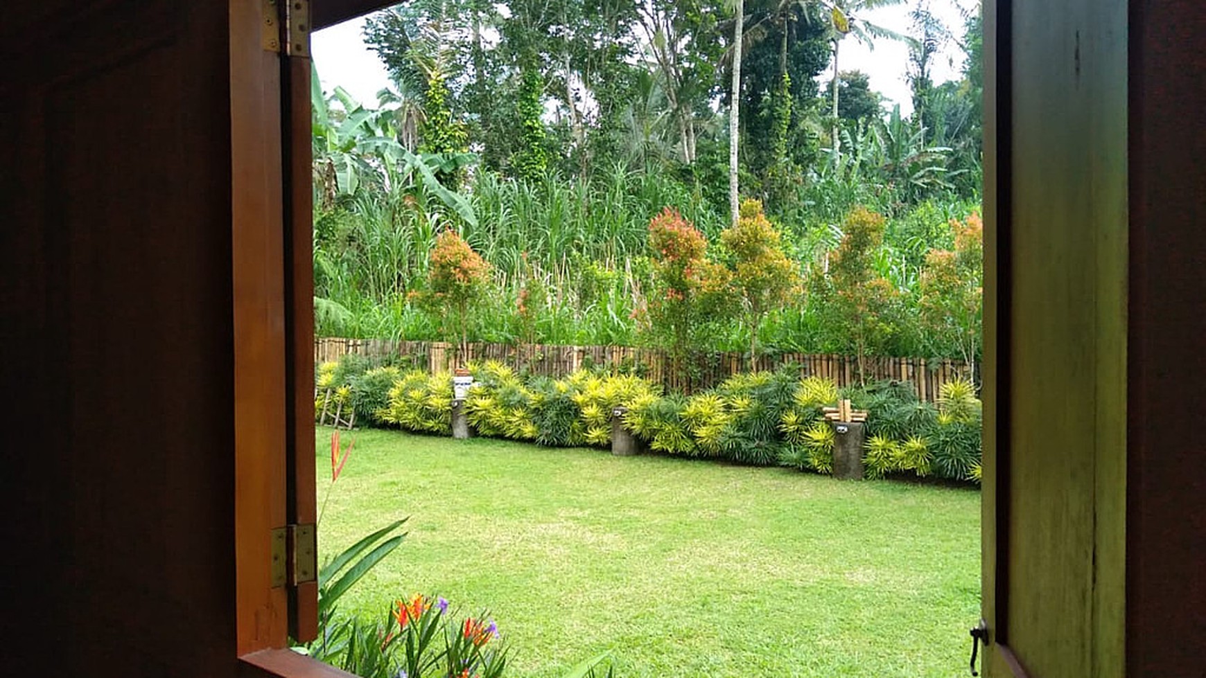 Hill View Wooden Houses for Sale In Bali