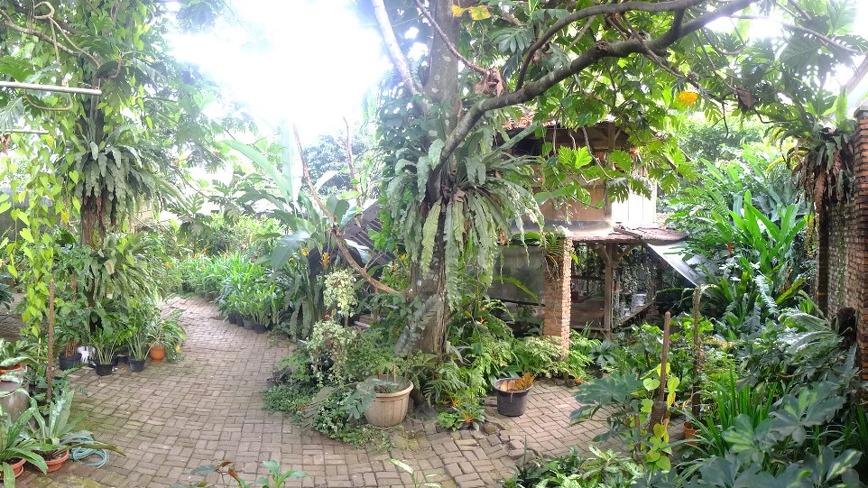 Rumah Asri Lokasi Strategis Pinggir Jalan @Cijeruk, Bogor