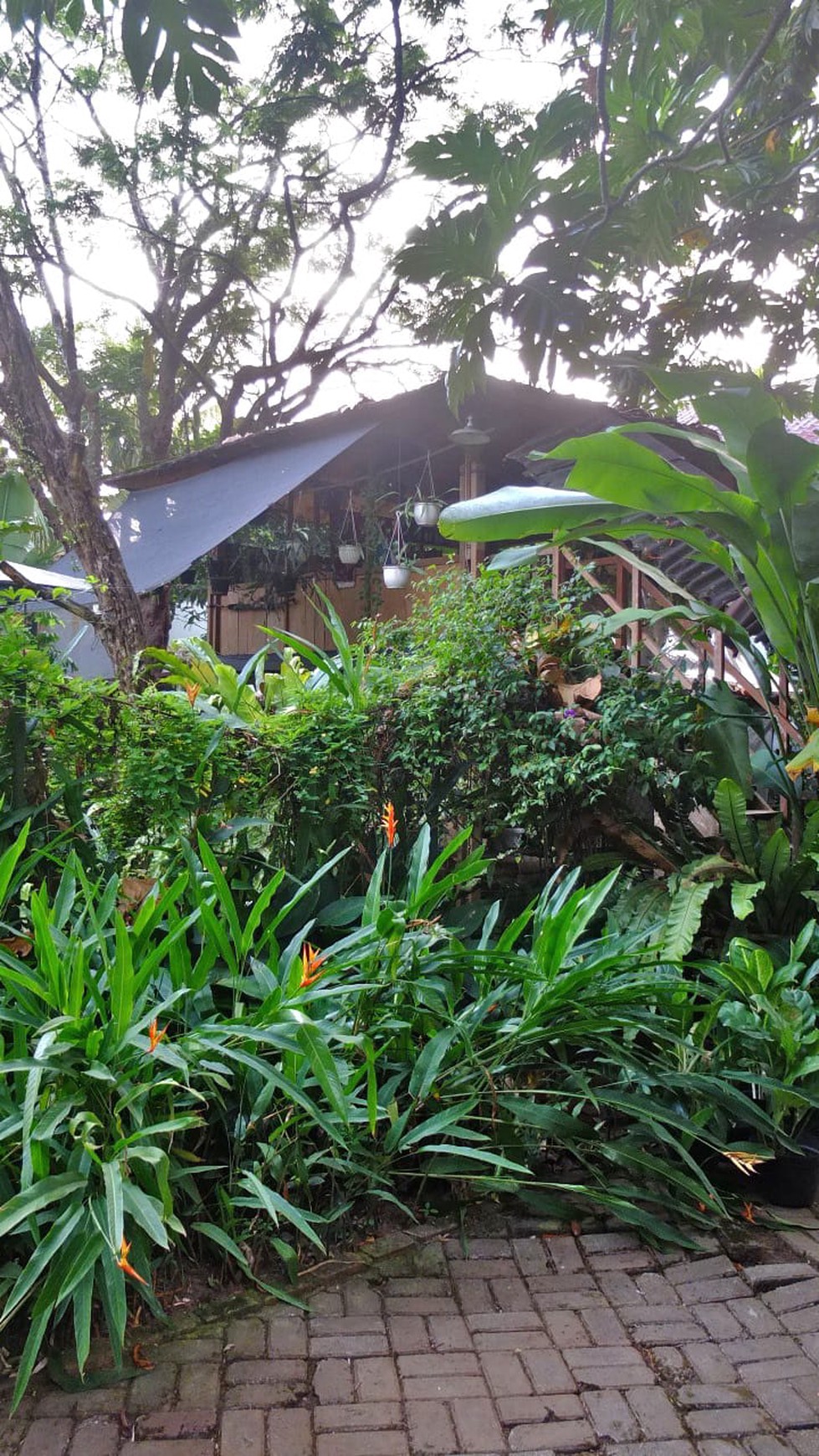 Rumah Asri Lokasi Strategis Pinggir Jalan @Cijeruk, Bogor