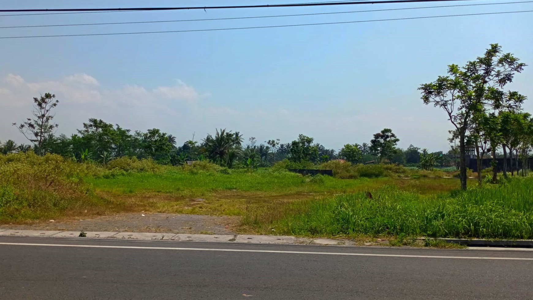 Tanah Luas 4.983 Meter Pesegi Dekat Kawasan Wisata Candi Borobudur