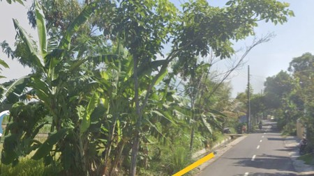 Tanah Sawah Luas 2.165 Meter Persegi Lokasi Strategis Dekat Jl. Raya Solo - Yogyakarta