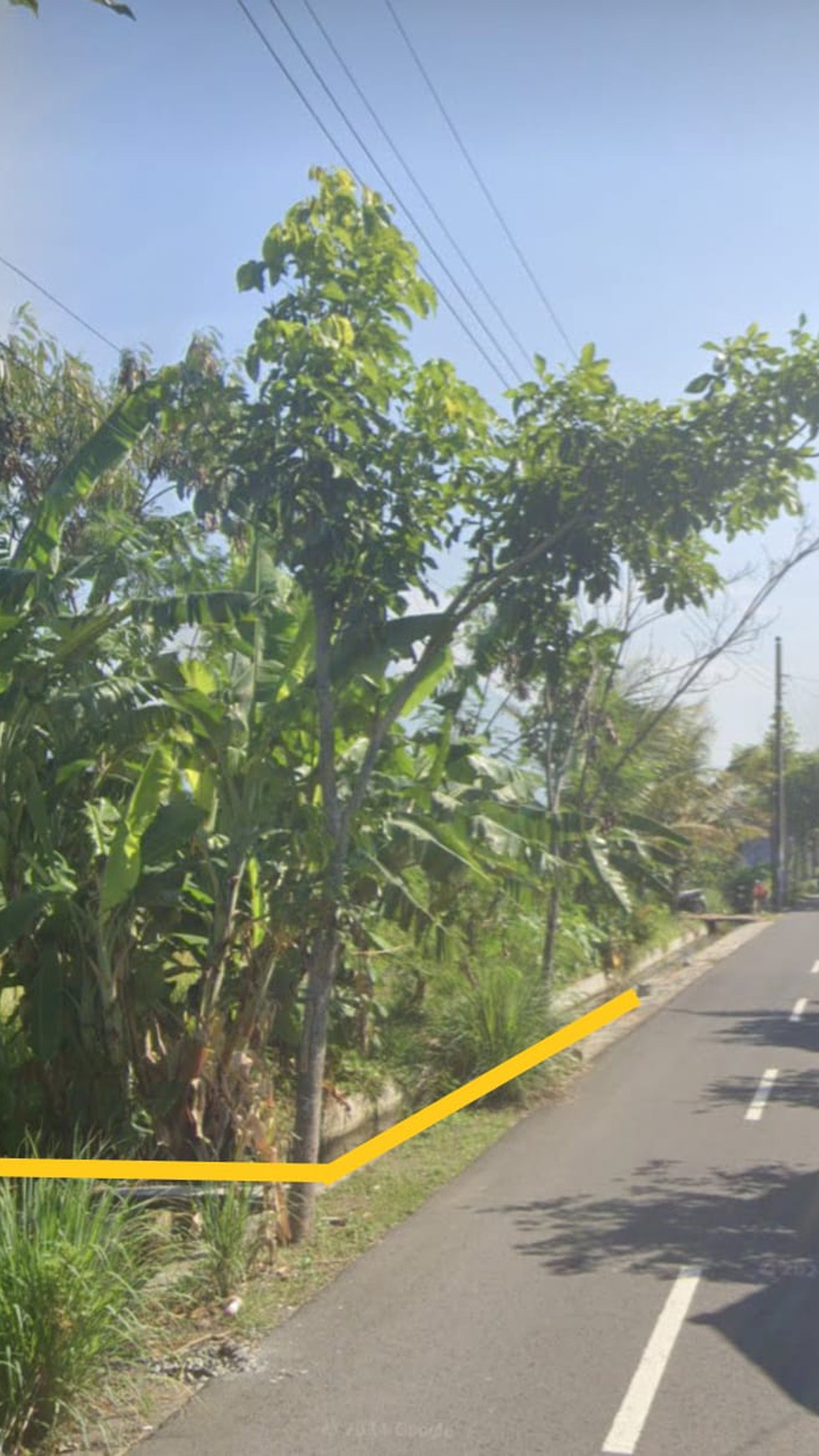 Tanah Sawah Luas 2.165 Meter Persegi Lokasi Strategis Dekat Jl. Raya Solo - Yogyakarta