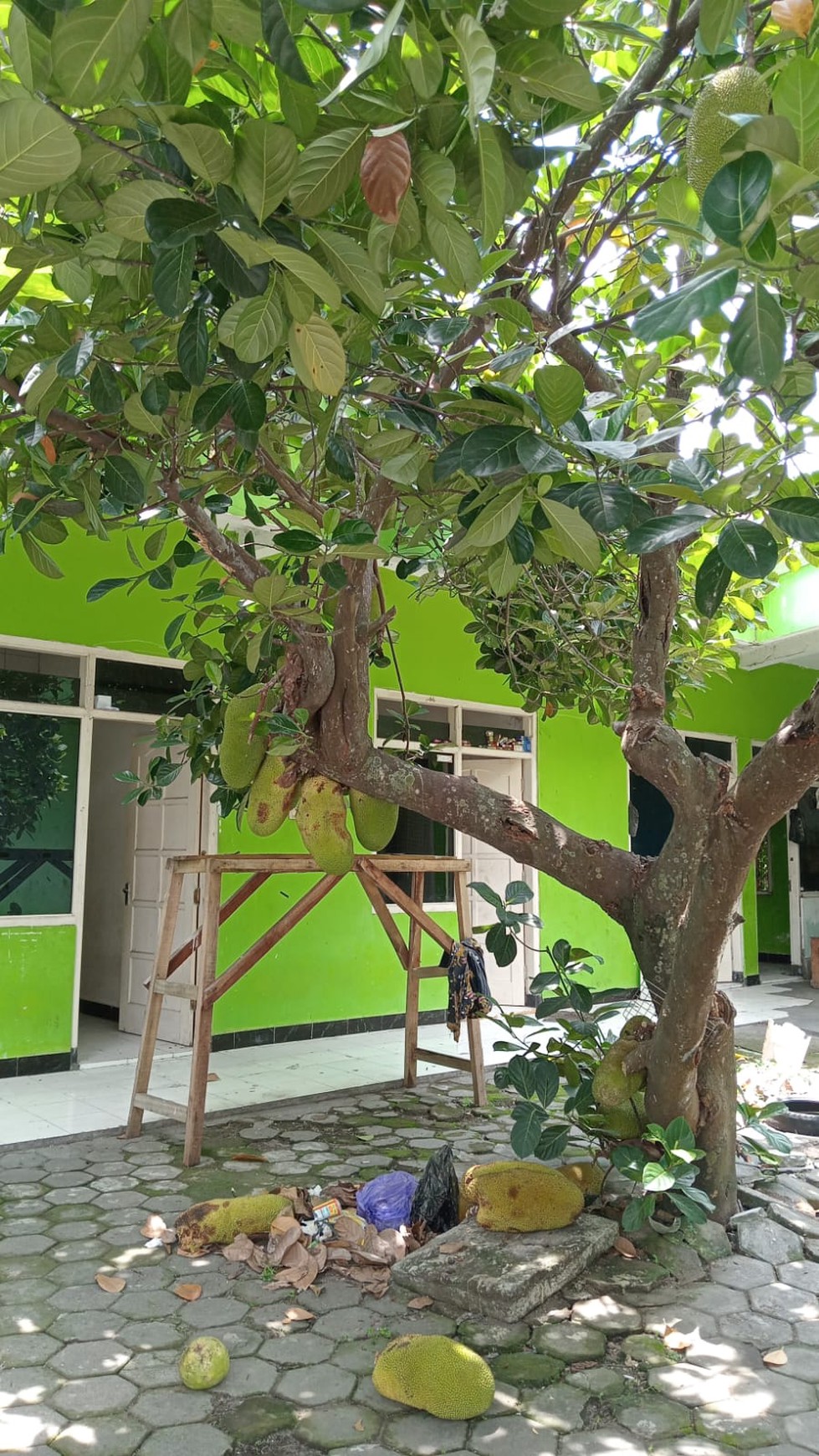 RUMAH KOST DI JL NGUMBUL, DEKAT AHMAD DAHLAN KAMPUS 4