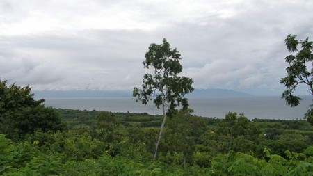 Uninterrupted Beautiful View Hill 3850 Sqm Freehold Land In Nusa Penida