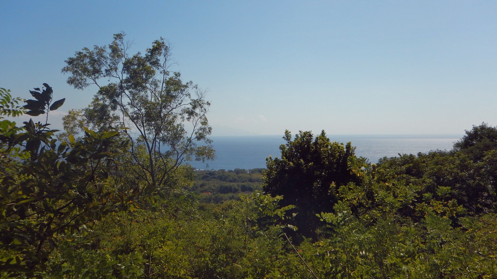 Uninterrupted Beautiful View Hill 3850 Sqm Freehold Land In Nusa Penida