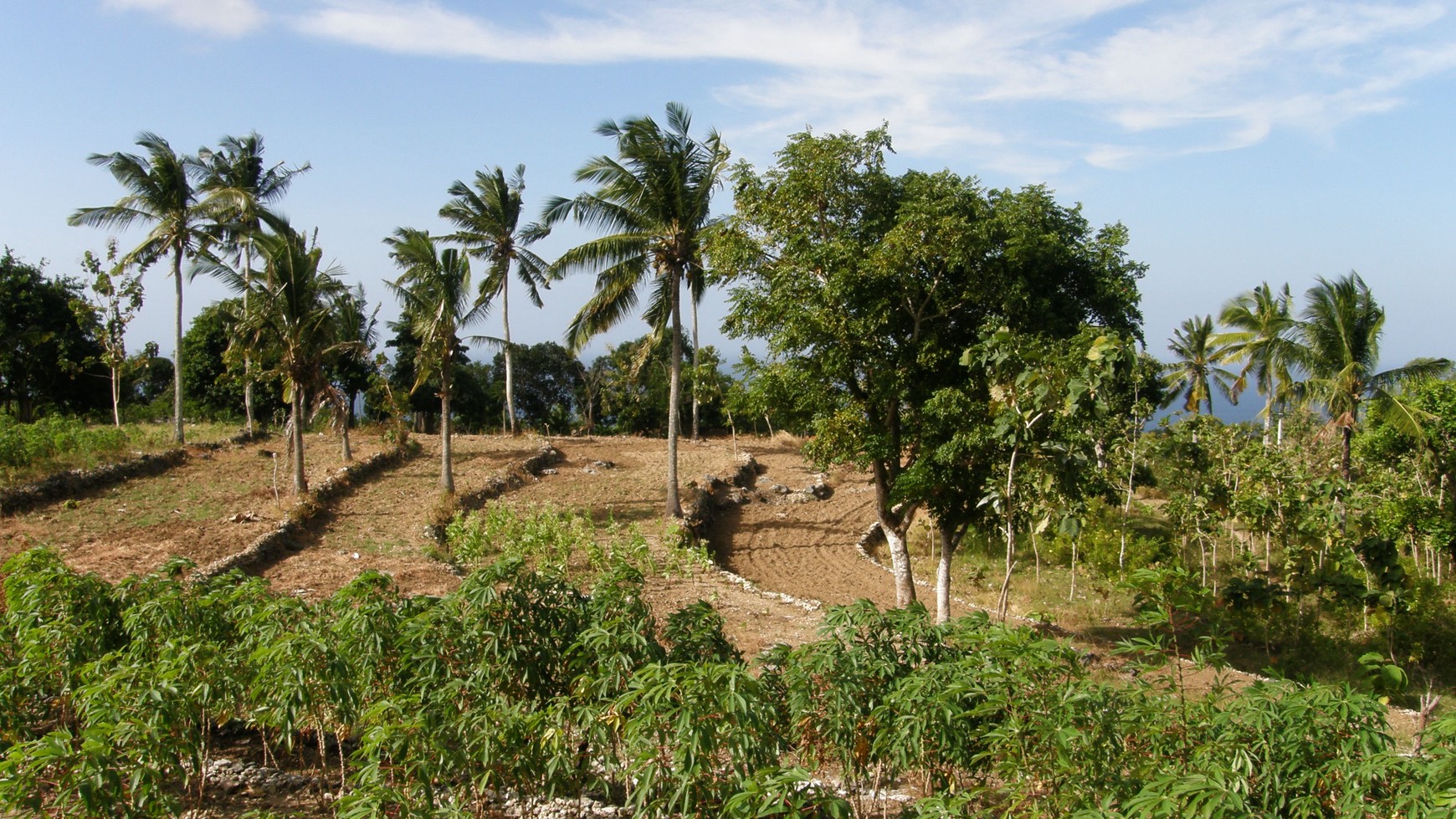 Nusa Penida- Perfect Location for Eco Residential Park with Sea view Villas