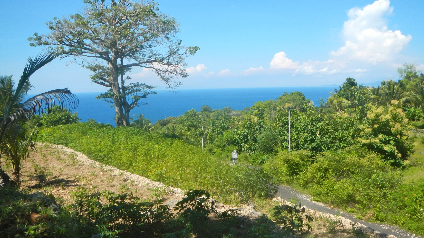 Nusa Penida- Perfect Location for Eco Residential Park with Sea view Villas