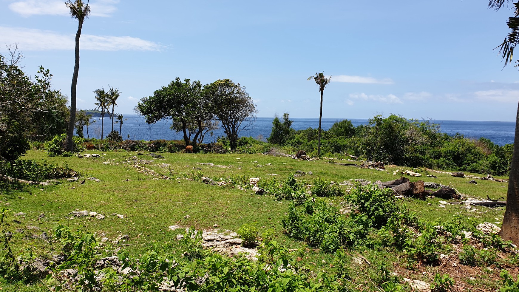 4000 Sqm Freehold Land In Nusa Ceningan